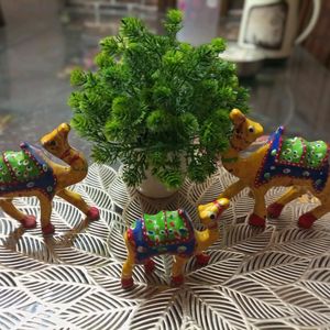 Home Decor Items- Camels And Plant