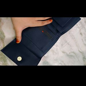 Baggit Wallet