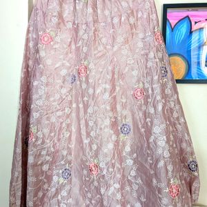 Long Skirt Fully Embroided Pink Color New