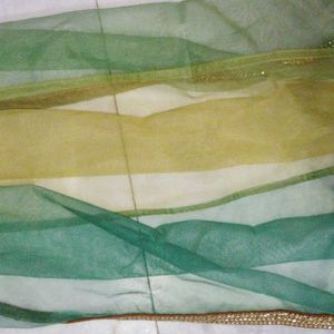 Trio Green Color Dupatta ✅