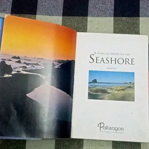 A Concise Guide To The SeaShore