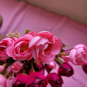 Pink Roses Bunches 2