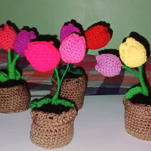 Small Tulips Flower Pots