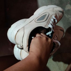 Women Sneaker