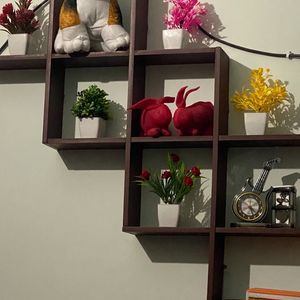 Wall Shelves