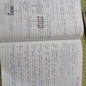 Cbse class 12 bio notes