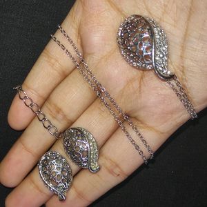 Crunchy Fashion Silver Platted Set