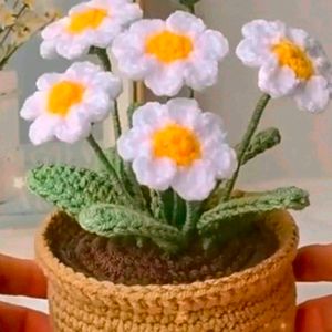 Crochet 6 Flower Pot