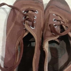 Brown Canvas Shoes