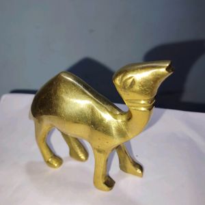 Brass Metal Camel With Free Gift