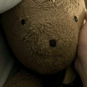 Teddy Bear