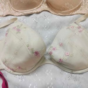 Combo Of 15 Bras Mega Offer