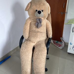 Giant Teddy