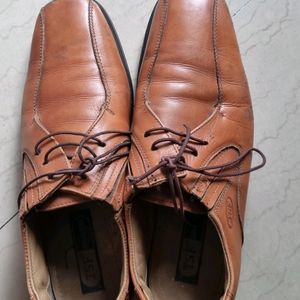 TSFbrand Leather Shoes,