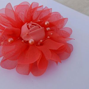 Hair Clip