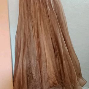 Nude Lehenga Choli