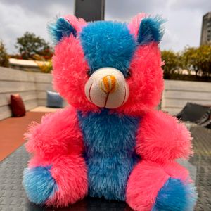 Pink And Blue Furry Teddy Bear