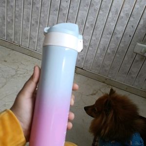 Dubblin Ombre Efect Bottle Blue/Purple/Pink Colour