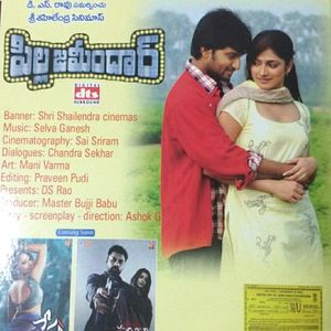 Telugu DVD Nani Pillazamindar