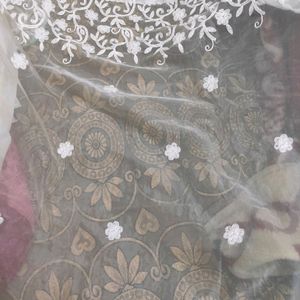 Chikenkari Organza Saree