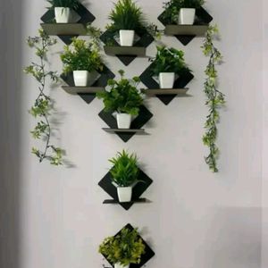 ⭐***Wall Showpiece Stand***⭐