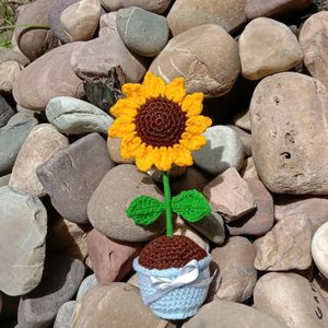 Crochet Sunflower Pot🌻