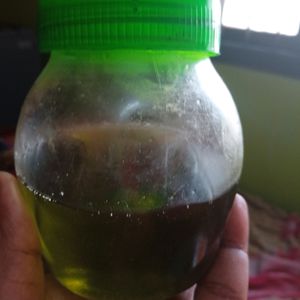 Homemade Curry Leaf Oil