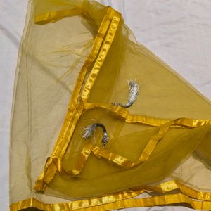 Yellow Organza Lehenga Choli