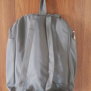 New Grey Back Pack