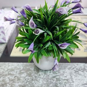 (Diwali Sale🪔) Artificial Plant💜+ FREE Gift