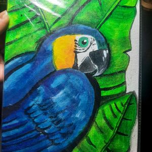 Bird Canvas Painting