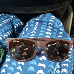 Beautiful Brown Sunglasses