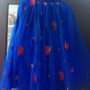 Beutiful Skirt Blue Colour