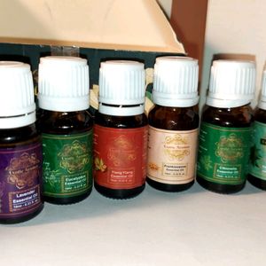 Pack Of 13 Aroma Essential Oil Bottle- 10ml Each