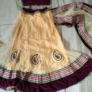 Lehnga Choli In Velvet & Net