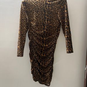 Tiger Print Dress