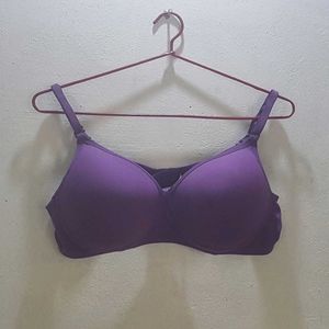 New Arrival: Premium Padded Bras in Size 36