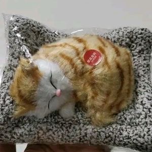 Cute Sleeping Cat 🎀