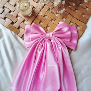 Dreamy French Tail Bow Clip 🌸