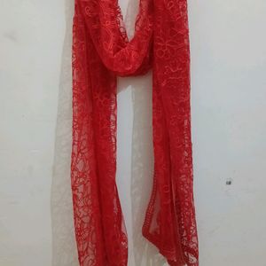 Soft Net Dupatta With Embroidery