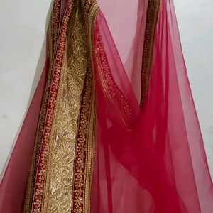 Beautiful Saree DUPATTA