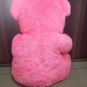 Pink 🩷 Super Soft Teddy