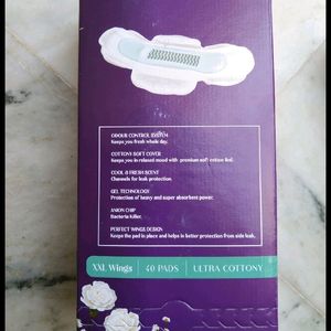 Wellwet Pads 2 Box