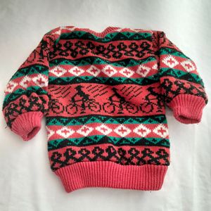 Multicolor Sweater Set (Boy's)