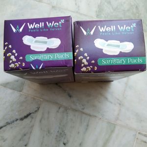 Wellwet Sanitary Pads 2 Box