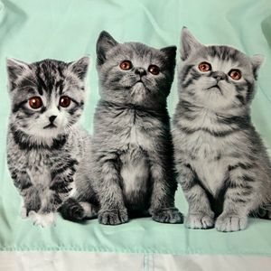 Cat Lovers’ High-Low Top