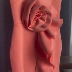 Coral Peachy Party Gown