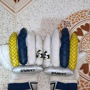 SG Campus Hand Gloves 🧤 For Batting