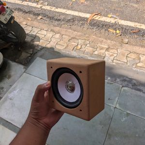 10 Watt Homemade Wooden Speaker