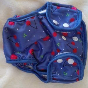 Cloth Diapers With Pad For 3 - 6 Months.